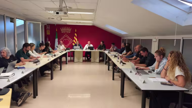 Ple Consell Comarcal