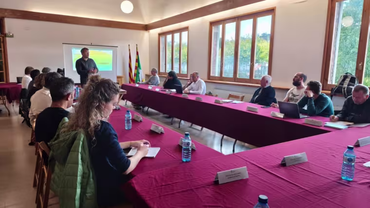 Institució Consell d'Alcaldíes