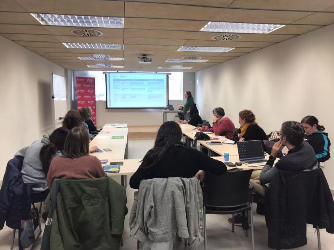 Taula de Salut Mental