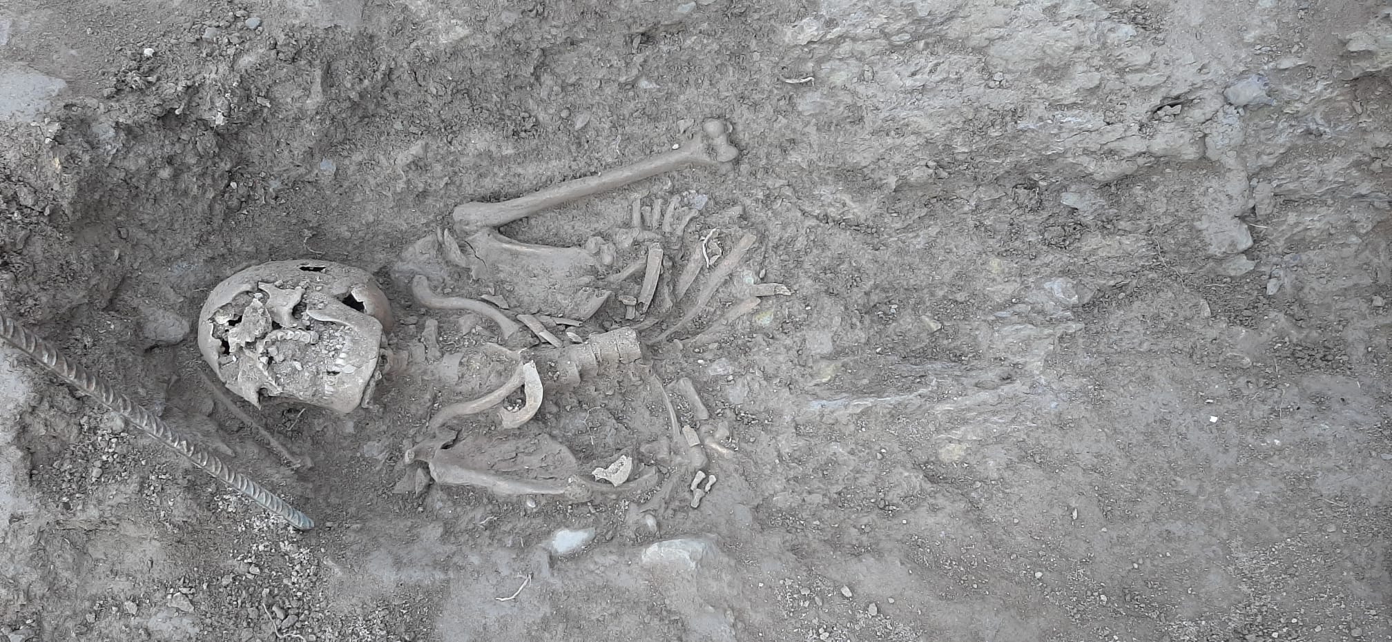Un dels esquelets trobats